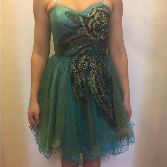 Dave & Johnny Prom Dress - Picture 1 of 4